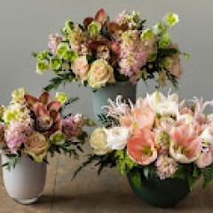 Seller Image